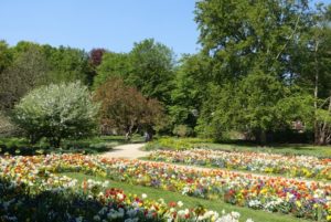 Webinar gratuito EGHN «Plantas Ornamentales» y «Árboles en el Cambio Climático»