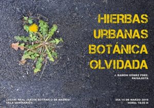 Conferencia "Hierbas urbanas, botánica olvidada" RJBM @ Real Jardín Botánico de Madrid-Sala de Seminarios | Madrid | Comunidad de Madrid | España