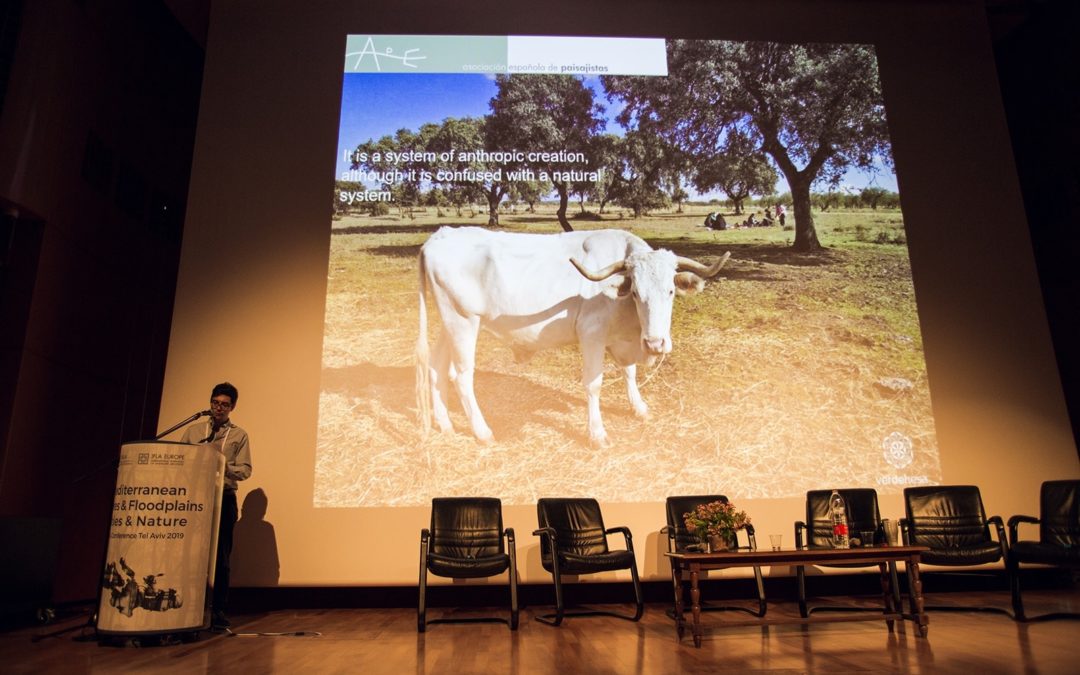 II Encuentro Med_net y participación de la AEP en el Congreso Mediterranean Skylines & Floodplains – Cities & Nature (Tel Aviv)