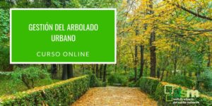 Curso online ISM "Gestión del arbolado urbano"