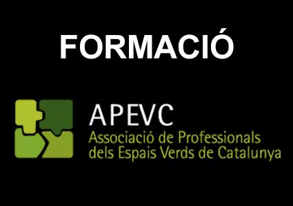 APEVC-Jornada técnica «Los jardines de aguas pluviales en los sistemas urbanos de drenajes»