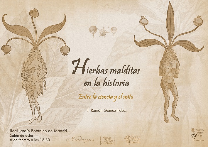 Conferencia: “Hierbas malditas en la historia” impartida por Ramón Gómez Fernández