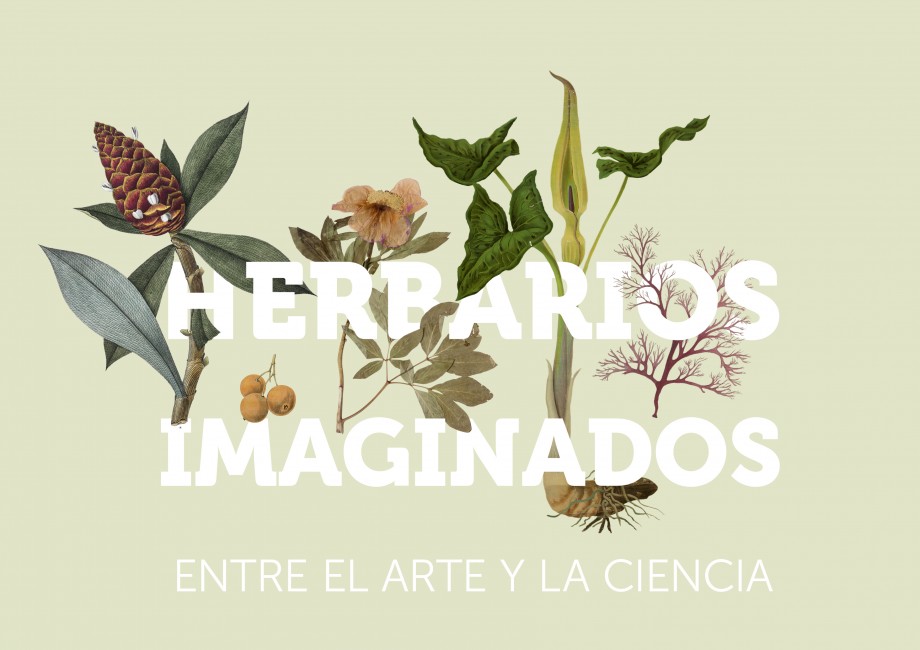 Exposición «Herbarios Imaginados. Entre el Arte y la Ciencia»