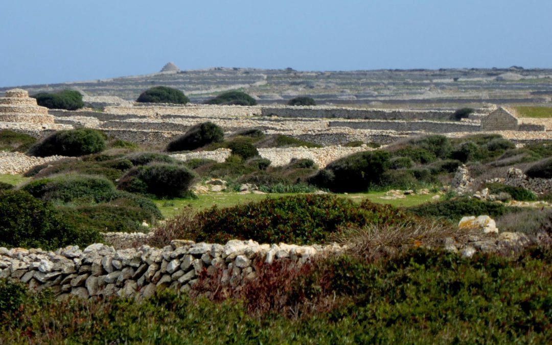 La AEP colabora en la defensa del Paisaje Cultural de Punta Nati, Menorca