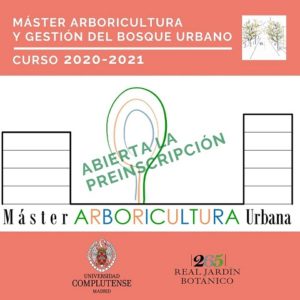 Abierta la Preinscripción del Máster «Arboricultura y Gestión del Bosque Urbano»
