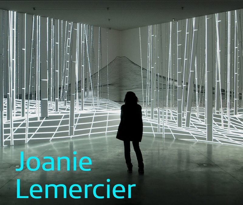 Exposición «Joanie Lemercier. Paisajes de luz»