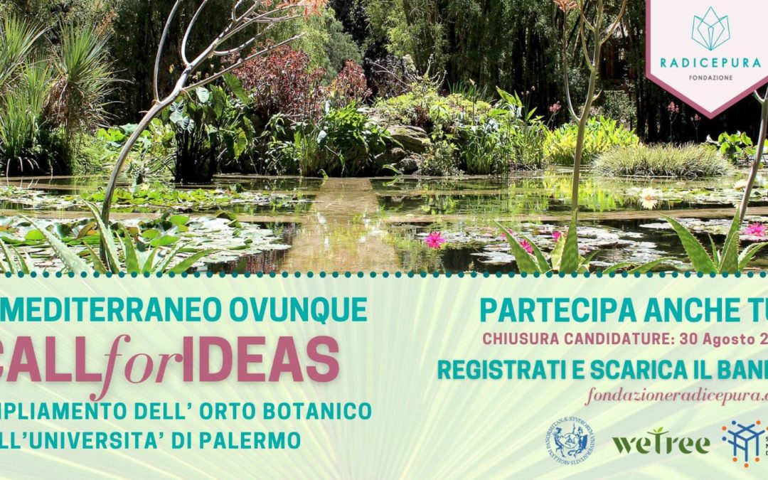 Concurso Internacional de ideas «El Mediterráneo, en todas partes»