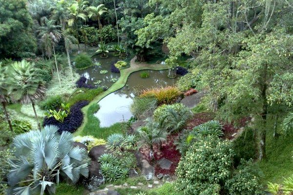 Sitio Roberto Burle Marx-Descarga gratuita