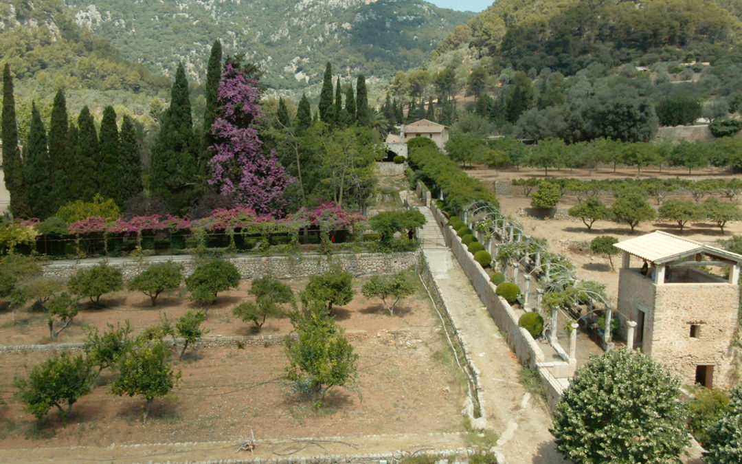 #JardinesConHistoria «Los Jardines de Alfabia» Mallorca