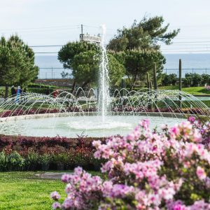 Manifestación de interés parael diseño de Euroflora 2025