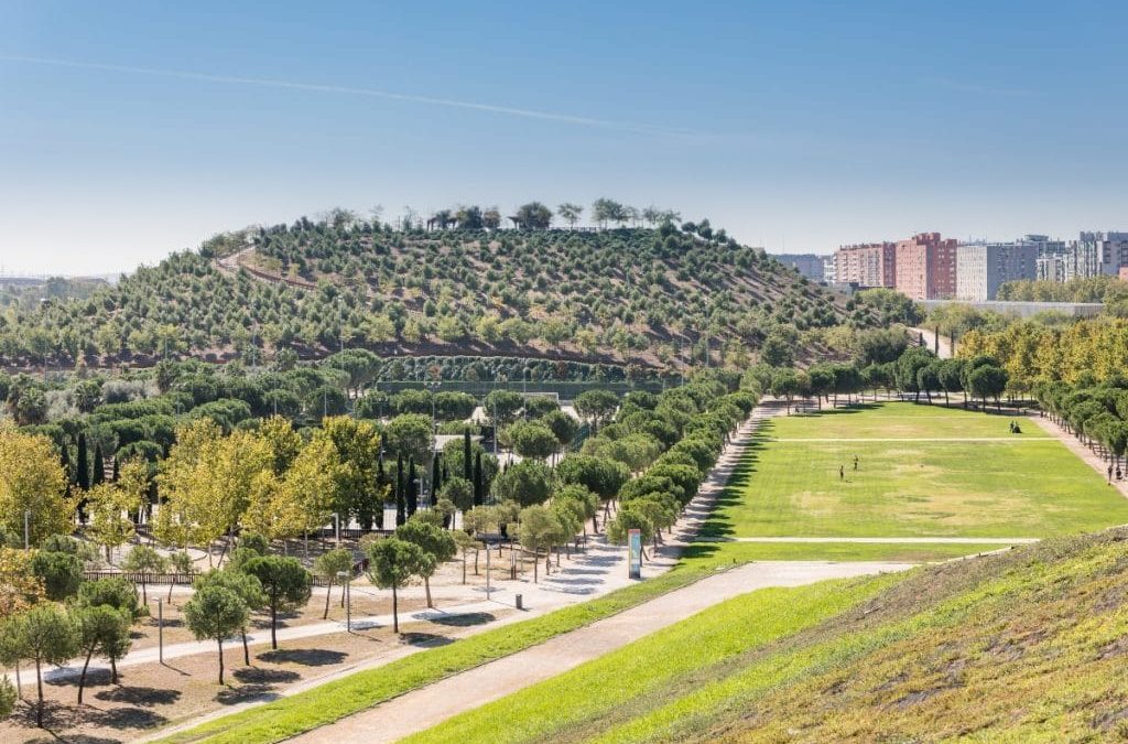 El Ayuntamiento lanzará junto al Colegio de Arquitectos un Concurso internacional de ideas para Madrid Nuevo Sur