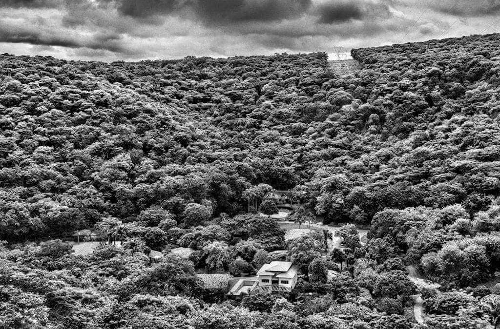 AMAZÔNIA, la Gran Exposición de Sebastião Salgado, llega a Madrid