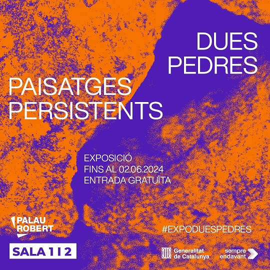 Exposición  «Dos piedras. Paisajes persistentes»