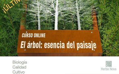 Curso online: «El árbol: esencia del paisaje»-José Ramón Gómez-