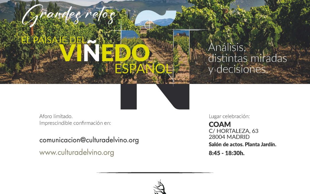 El paisaje del viñedo español: análisis, distintas miradas y decisiones