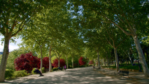 #Jardines Con Historia "Parque del Oeste"-13 de Julio- La 2 de RTVE