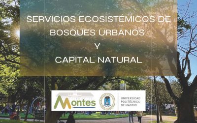 Abierta la inscripción para el Curso de Formación Específica en Servicios Ecosistémicos de Bosques Urbanos y Capital Natural