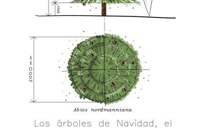 Ganadora- VIII Edición Concurso Estudiantes AEP «Felicita con Ideas»