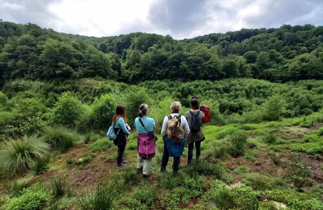 Curso «Proyecto de Restauración de Ecosistemas»-Microcredencial UPV EHU-
