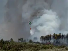 Carlos Correia-Presidente APAP-Solidaridad con España y Francia ante los grandes incendios forestales-